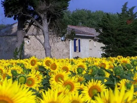 Charming In Southwestern France * Montferrand (Aude)